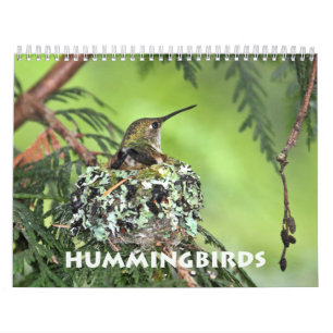 Hummingbird Wall Calendar