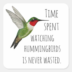 Hummingbird watching square sticker