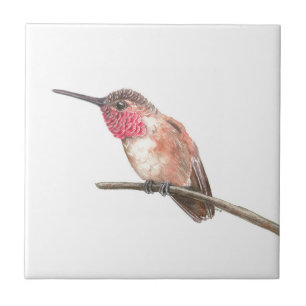Hummingbird watercolor ceramic tile