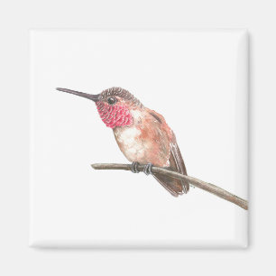 Hummingbird watercolor magnet