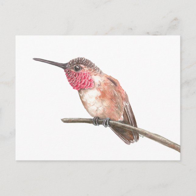 Hummingbird watercolor postcard (Front)