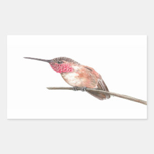 Hummingbird watercolor rectangular sticker