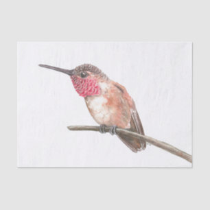 Hummingbird watercolor tissue paper