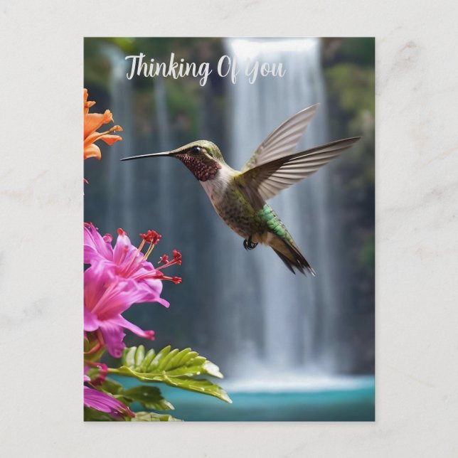 Hummingbird Waterfall Park, Postcard (Front)