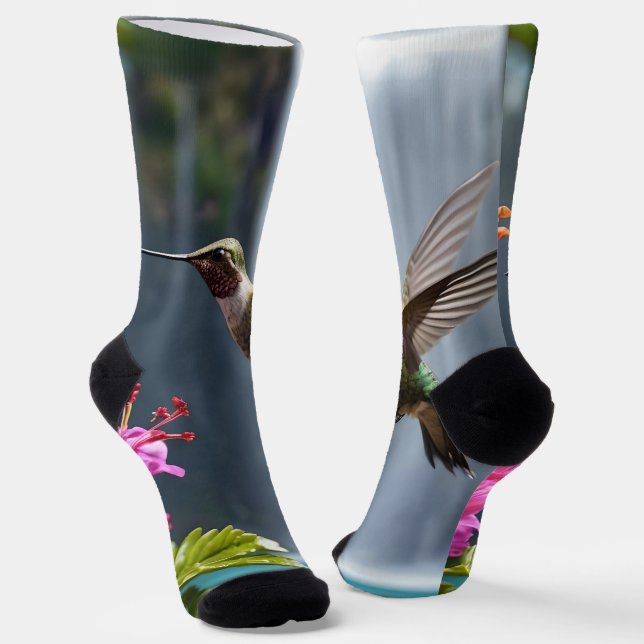 Hummingbird Waterfall Park,  Socks (Angled)
