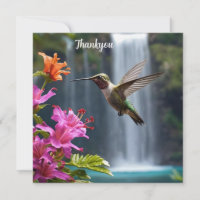 Hummingbird Waterfall Park,
