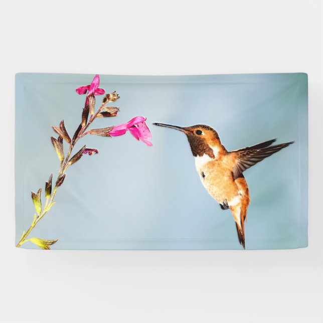Hummingbird Wild in Nature Banner (Horizontal)