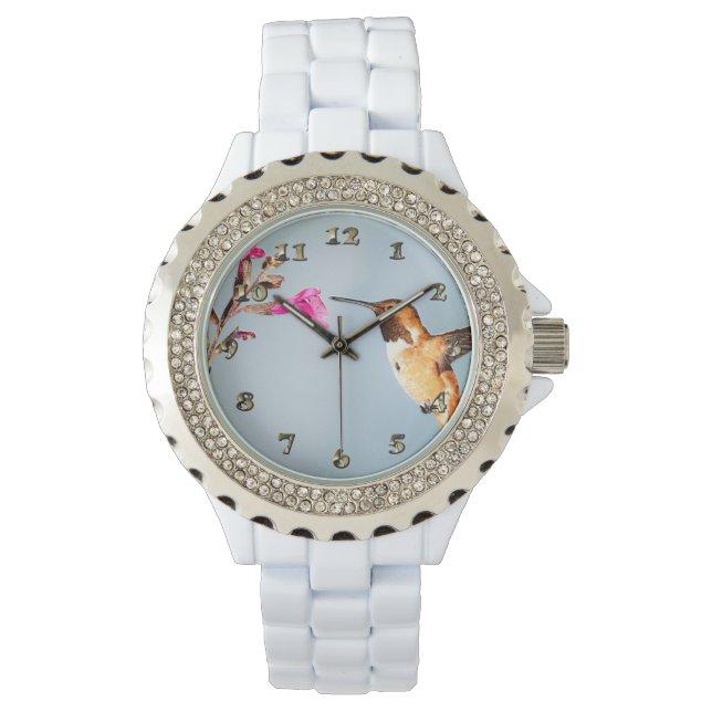 Hummingbird Wild in Nature Watch (Front)