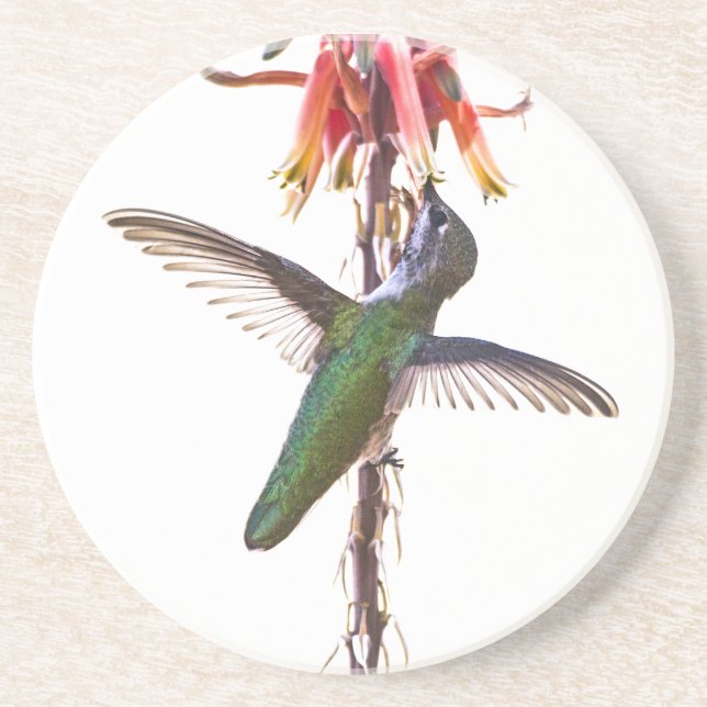 Hummingbird wings coaster (Front)