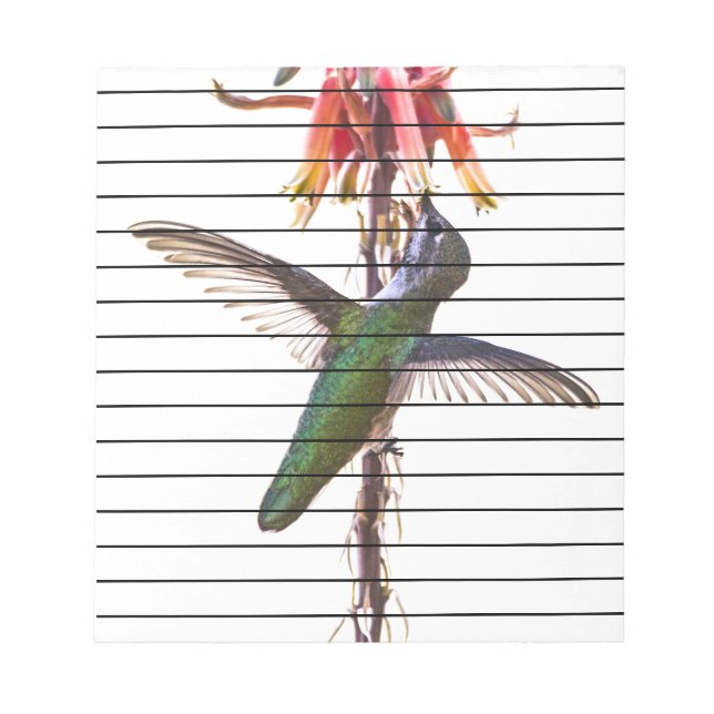 Hummingbird wings notepad (Front)