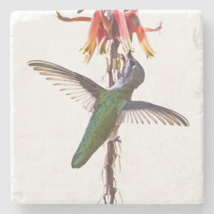 Hummingbird wings stone coaster