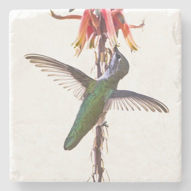 Hummingbird wings stone coaster (Front)