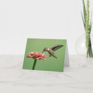Hummingbird With Flower Note Card