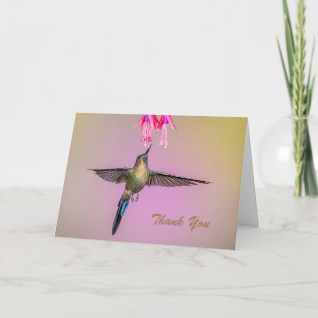 Hummingbird with Long Tail Thank You Card (Front)