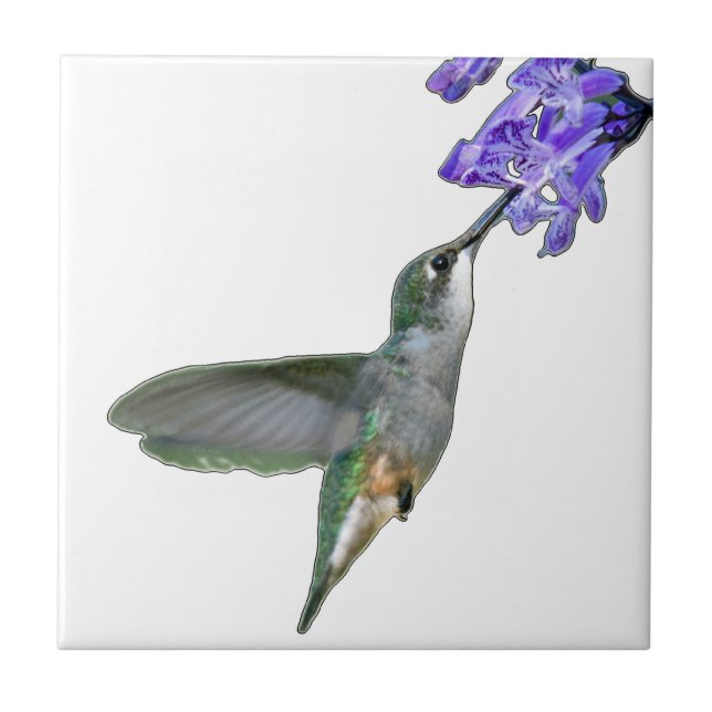 Hummingbird with Mona Lavender Tile (Front)