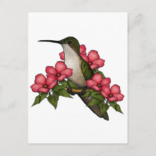 Hummingbird With Pink Flowers: Nature Art Postcard