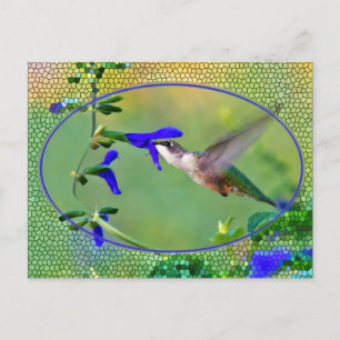 Hummingbird With Stained Glass Postcard