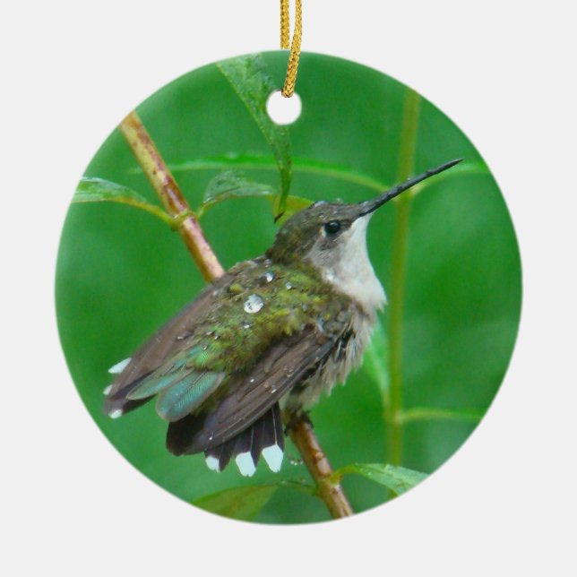 Hummingbird with Wings Spread Ceramic Tree Decoration (Front)