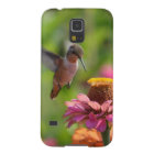 Hummingbird with Zinnias