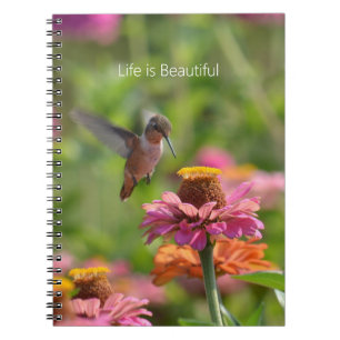 Hummingbird Zinnia Flowers (my photography) Notebook