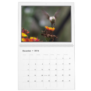 Hummingbirds 2016 Monthly Calendar By Tom Minutolo