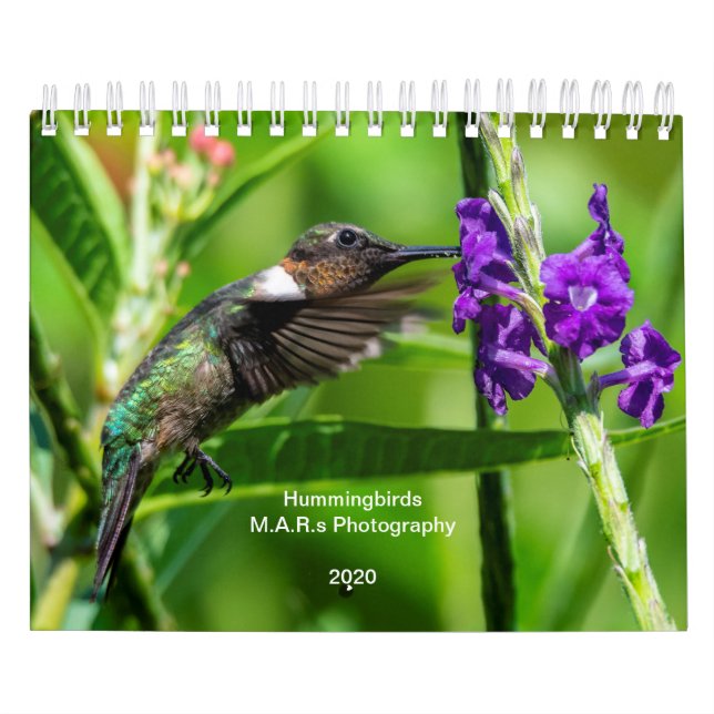 Hummingbirds 2020 calendar (Cover)