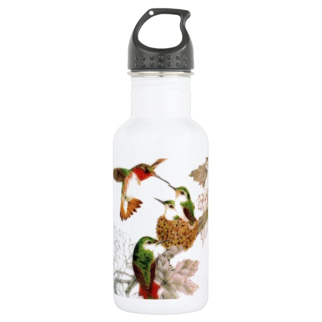 Hummingbirds 532 Ml Water Bottle (Front)
