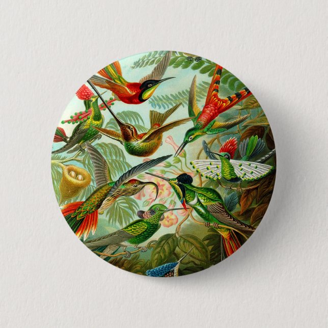 Hummingbirds 6 Cm Round Badge (Front)