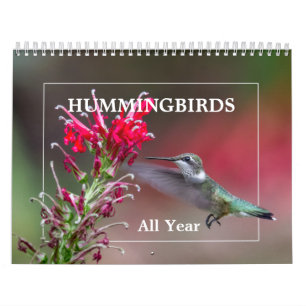 Hummingbirds All Year Calendar