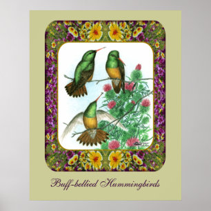 Hummingbirds and Flowers #1 Poster