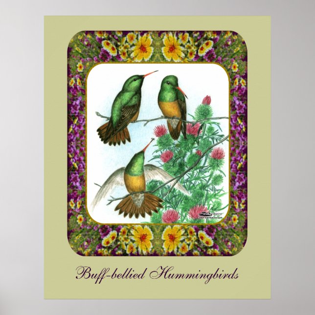 Hummingbirds and Flowers #1 Poster (Front)