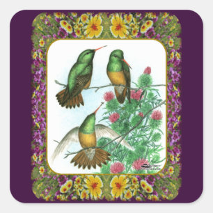 Hummingbirds and Flowers #1 Square Sticker
