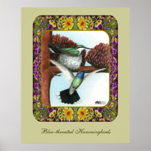 Hummingbirds and Flowers #3 Poster