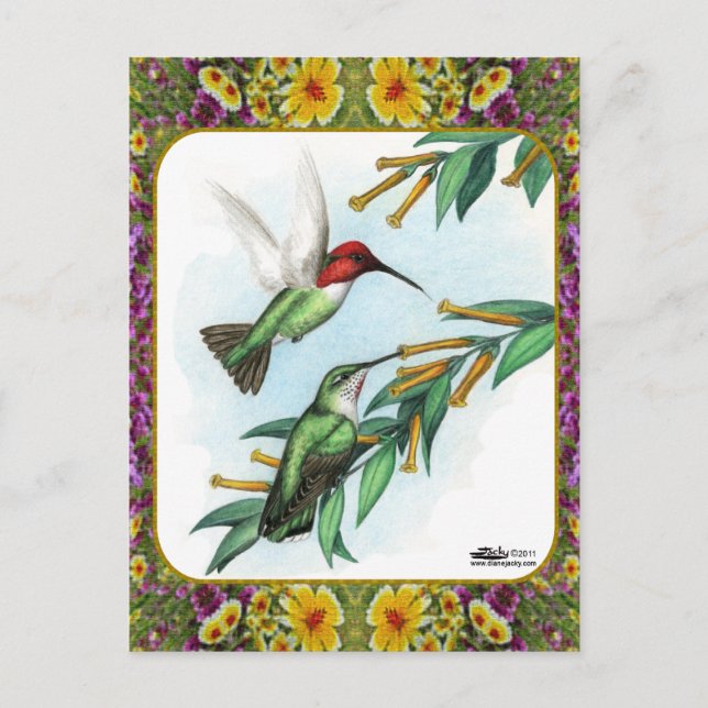 Hummingbirds and Flowers #4 Postcard (Front)