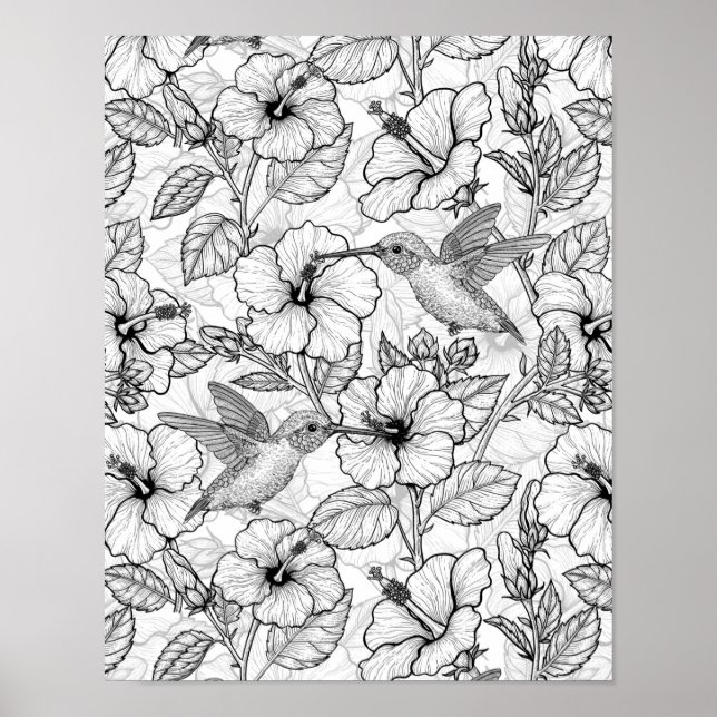 Hummingbirds and hibiscus flowers b&w poster (Front)