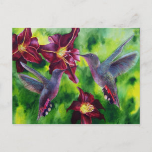 Hummingbirds and Lillies Post Card