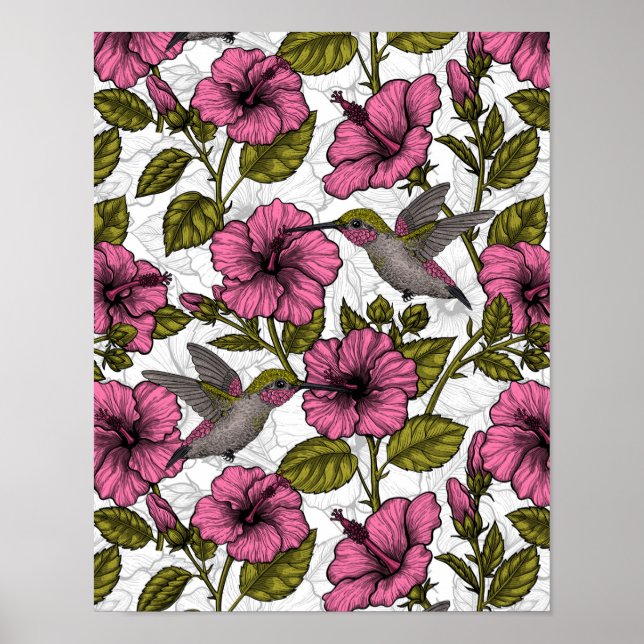 Hummingbirds and pink hibiscus flowers poster (Front)