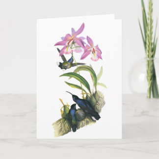 Hummingbirds and Pink Orchids Card