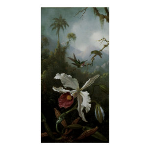 Hummingbirds and White Orchid by Martin J. Heade Poster