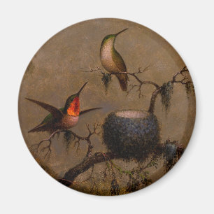 Hummingbirds bird nest victorian heade painting  magnet