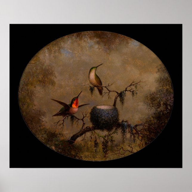 Hummingbirds bird nest victorian heade painting poster (Front)
