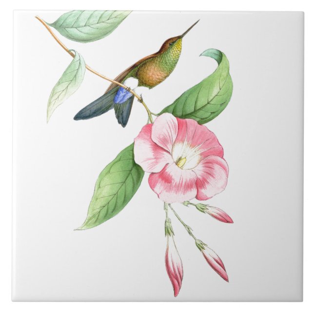 Hummingbirds Birds Flowers Floral Animals Wildlife Tile (Front)