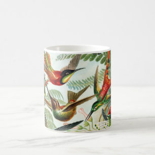 Hummingbirds by Ernst Haeckel (2) Coffee Mug