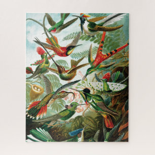 Hummingbirds by Ernst Haeckel Jigsaw Puzzle
