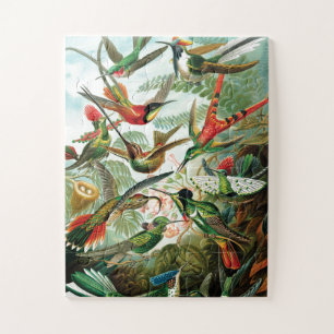Hummingbirds by Ernst Haeckel Jigsaw Puzzle