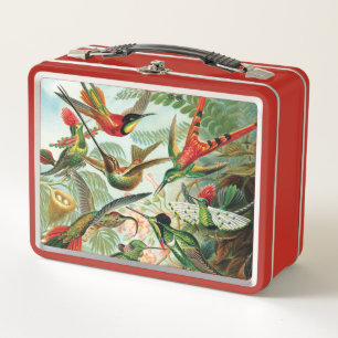 Hummingbirds by Ernst Haeckel Metal Lunch Box