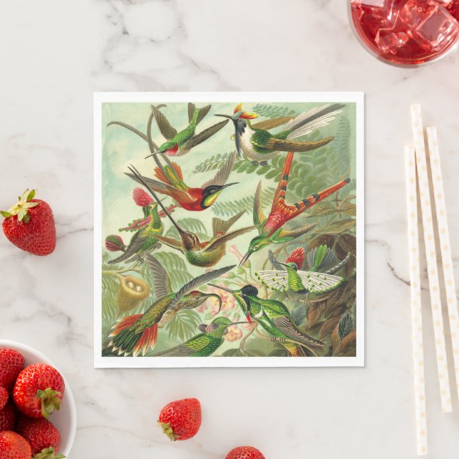 Hummingbirds by Ernst Haeckel Napkin (Insitu)