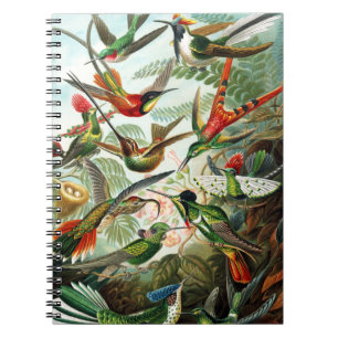 Hummingbirds by Ernst Haeckel Notebook