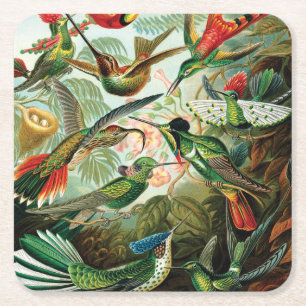 Hummingbirds by Ernst Haeckel Square Paper Coaster