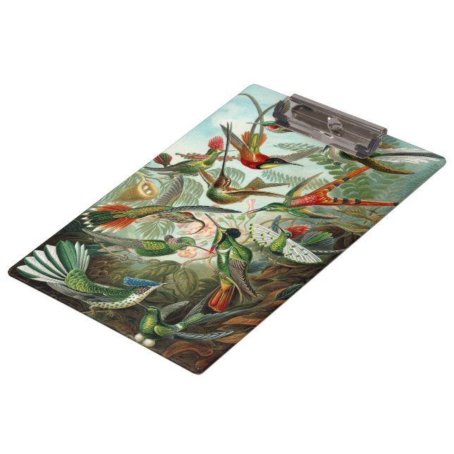 Hummingbirds by Ernst Haeckel, Vintage Birds Trees Clipboard (Angled)